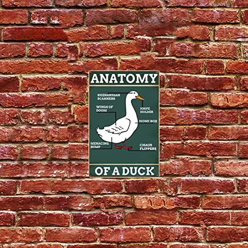 Vintage Limeni znak Duck Knowledge metalni Limeni znak anatomija patke Funny Duck Poster Retro zidna umjetnost za kućni Seoski zidni dekor 8 x 12 inča