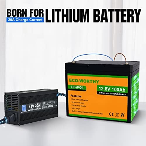 Ekološki vrijedan 12v 20a litijumski LifePO4 punjač baterija, za litijum-gvozdeno-fosfatnu bateriju, automatsko