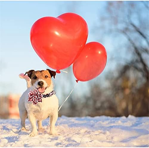 HFDGDFK Valentine Crveno srce ovratnik sa cvijećem podesivim kućnim ljubimcem za velikog srednjeg malog psa