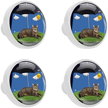 Lagerery komoda dugmad mačka smiješna dugmad za ladice crystal Glass cabinet dugmad 4kom kolor štampa okrugla