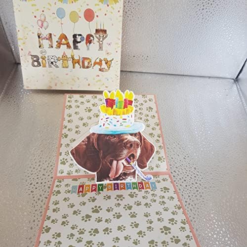 Crazytops Njemački kratkodlaki pas 3d rođendan smiješne iskačuće kartice, Njemački kratkodlaki pokazivač