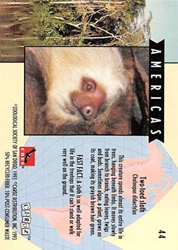 1993 Cardz Svjetski poznati san Diego Zoo standardna industrna kartica za trgovanje br. 44 Dvoied Sloth