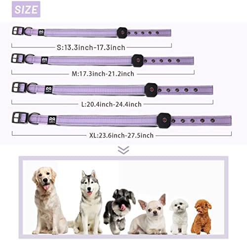 Ogrlica za pse sa punjivom: LED refleksni ovratnik sa USB-om bezbednosti Jednostavna šetnja za male, srednje,