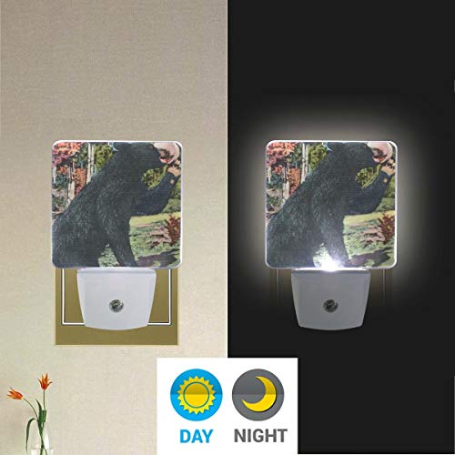 Noćni svetlosni medved životinjski Set od 2 Auto senzora LED Dusk to Dawn Night Light Plug in Indoor for