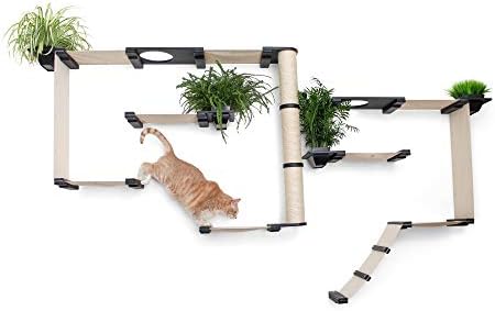 Katastroficreations Gardens Set za mačke na više nivoa zid Scratch, Hammock Lounge, Play & amp; penjački aktivnost Centar namještaj Cat Tree Police