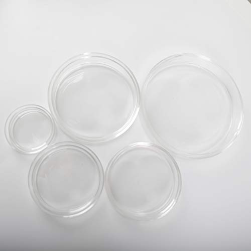 Adamas-BETA 3.3 Petrijeve ploče za kulturu borosilikatnog stakla Petri ploče, 150mm ODM, pakovanje od 6