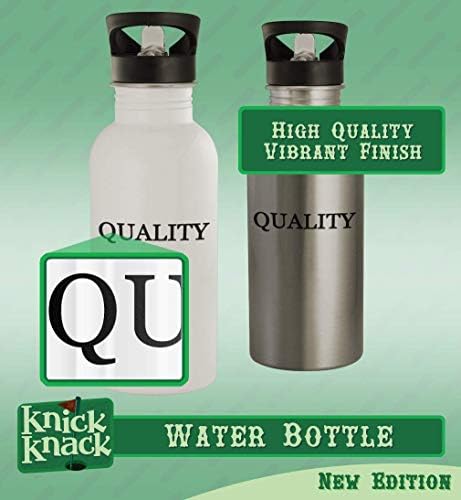 Knick Klack Pokloni Paperness - 20oz boca vode od nehrđajućeg čelika, srebrna