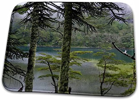 3drose Rainforest, Lago Chico, Lake District, Čile - Sa05... - Prostirke Za Kupatilo