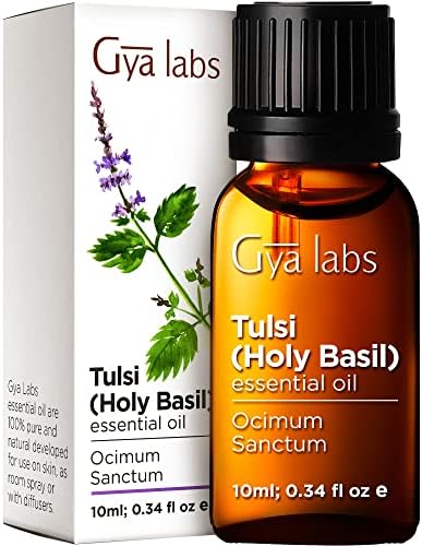 Gya Labs Sveti Basil Esencijalno ulje - čista vrhunska terapijska klasa - slatka, zeljasta mirisa