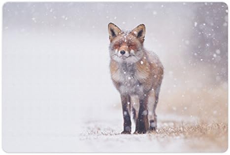 Ambesonne Fox prostirka za kućne ljubimce za hranu i vodu, crvena lisica u ruralnom okruženju polje prekriveno